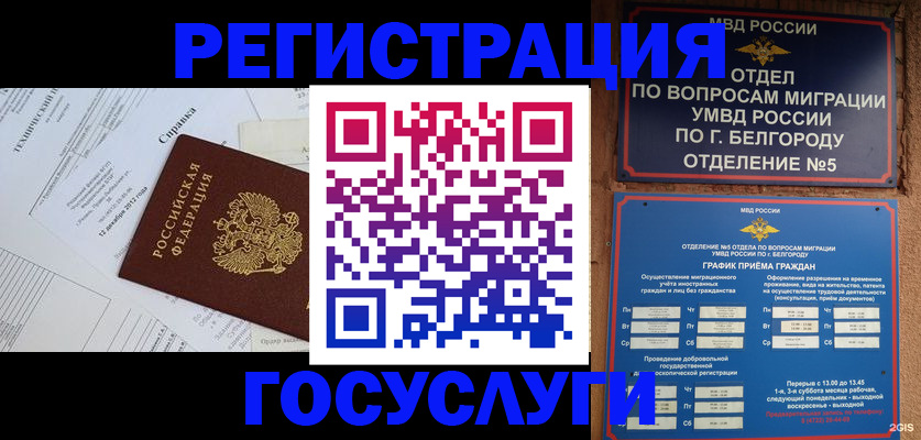 временная прописка в Курчатове